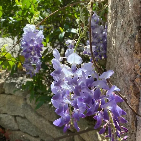 Hébergement de vacances Résidence Terra Théa *