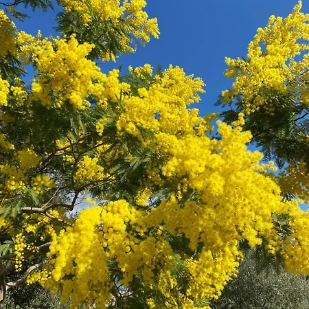 Résidence Terra Théa Hébergement de vacances