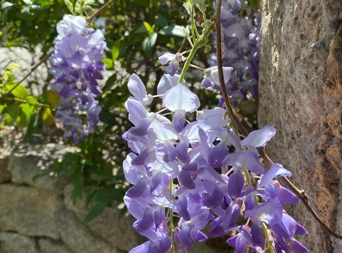 Ferienhaus Terra Thea *